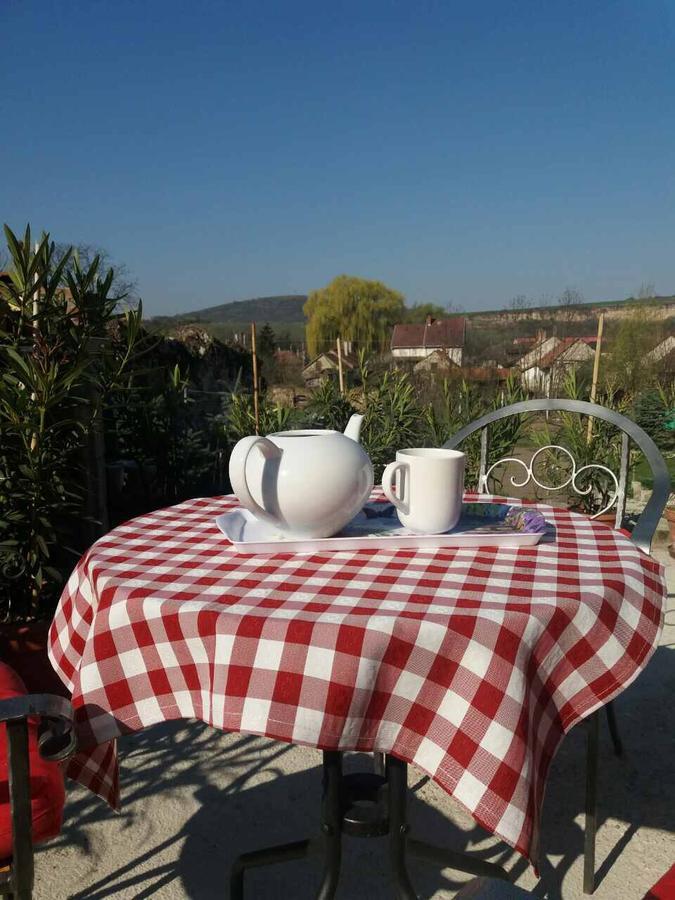 Sator-Hegy Vendeghaz Otel Abaújszántó Dış mekan fotoğraf